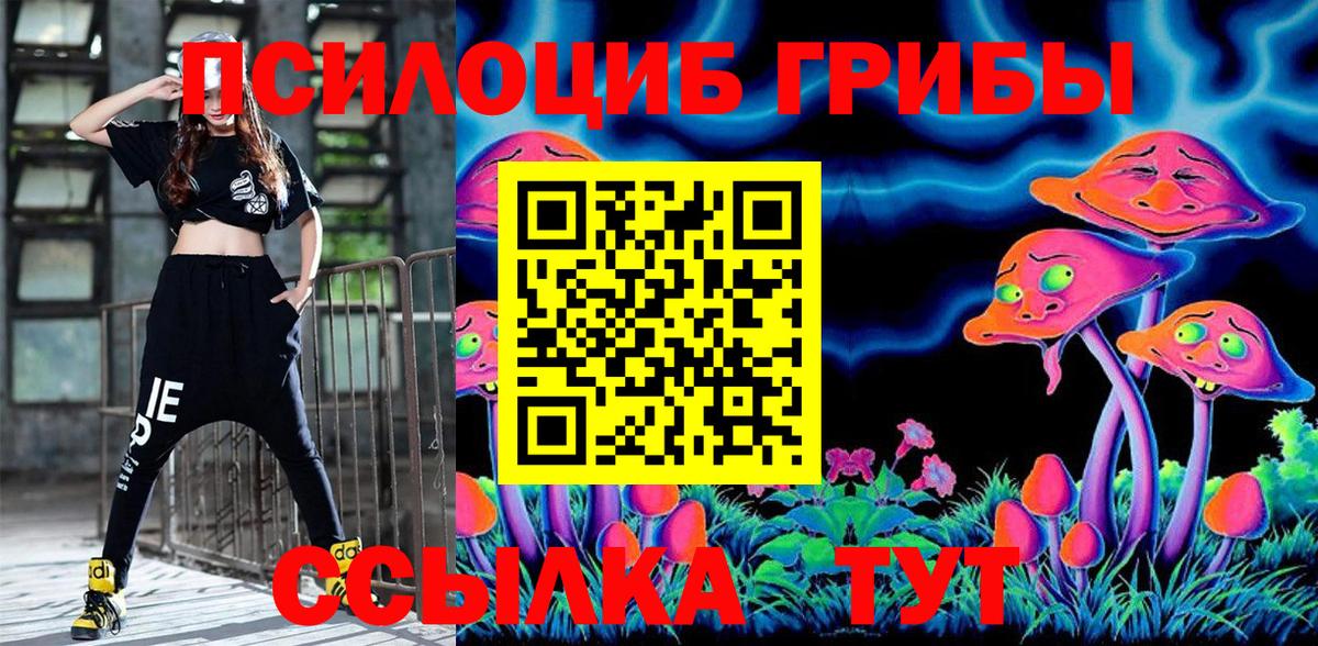 Галлюциногенные грибы MAGIC MUSHROOMS  Вход с VPN  Галлюциногенные грибы Psilocybine cubensis  Миллерово 
